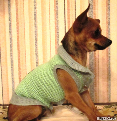 Размеры свитера для собаки