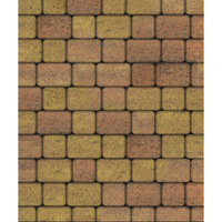 Тротуарная плитка Классико, Гладкий Листопад, Саванна, 40 мм