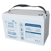 АКБ 12V 100Ач "Vektor Battery VB 12-100G" 330х180х220