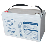 АКБ 12V 100Ач "Vektor Battery VB 12-100" 330х180х220