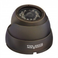 Антивандальная купольная камера с фиксированным объективом SVC-D21