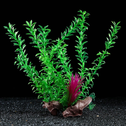 Растение искусственное аквариумное на платформе в виде коряги, 30 см, зеленое Пижон Аква