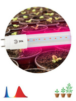 Лампа светодиодная FITO-18W-RB-Т8-G13-NL 18Вт T8 линейная 96LED 2835 IP20 35000ч для растений/для подсветки мясных витри