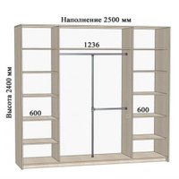 Шкаф-купе Комфорт ширина 250 см, модель 2500