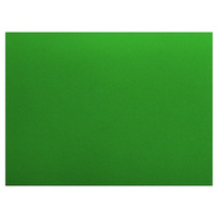 Доска разделочная ROAL 500х350х20мм пластик зеленый 50035020 зеленый