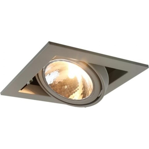 Потолочный светильник ARTE LAMP A5949PL-1GY