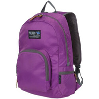 Городской рюкзак POLAR П2102, фиолетовый Polar Inc