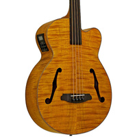 Басс гитара Aria FEB-F2/FL Full Scale Fretless Acoustic Electric Bass Stained Brown w/ Gig Bag