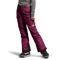 Брюки The North Face Freedom Insulated, цвет Boysenberry